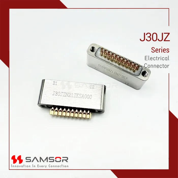 J30JZN21ZKSA000