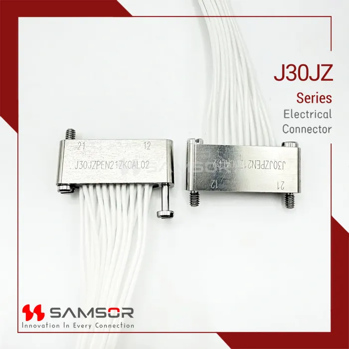 J30JZPEN21ZKCAL02
