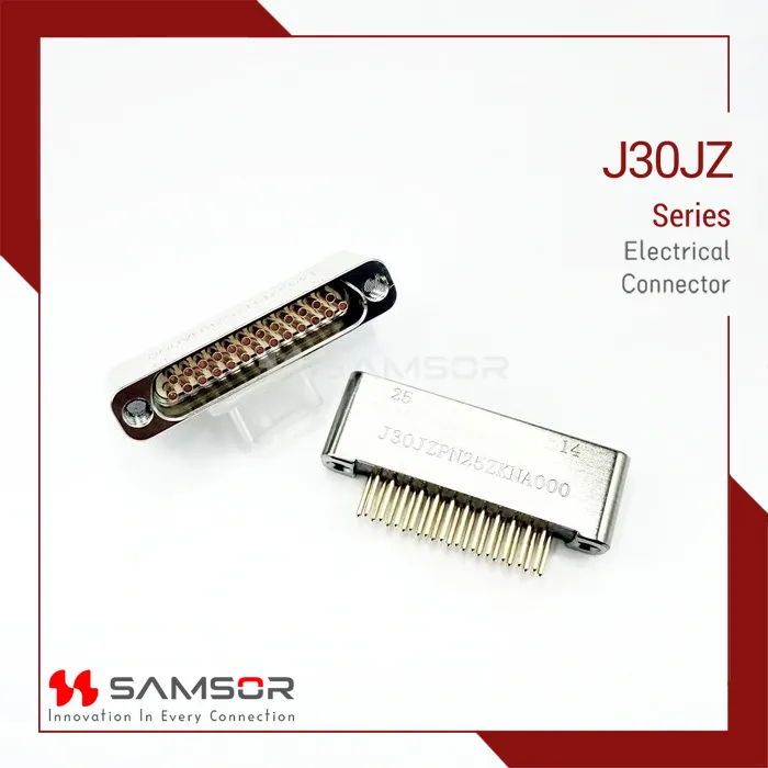 J30JZPN25ZKNA000