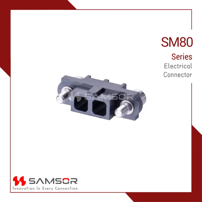 SM80-263F202-00-00