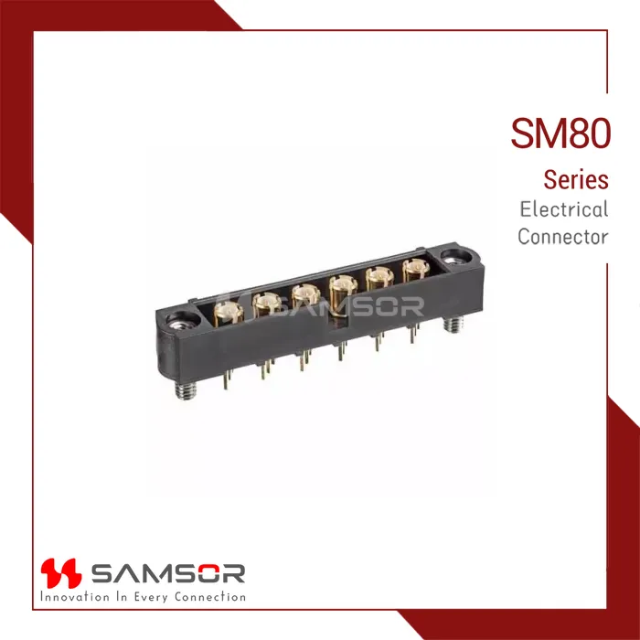SM80-MV311M2-06