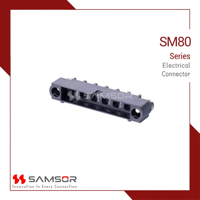 SM80-273MA06-00-00
